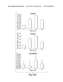 COMPOSITIONS, KITS, AND METHODS FOR IDENTIFICATION, ASSESSMENT, PREVENTION, AND THERAPY OF CANCER diagram and image