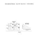 COMPOSITIONS, KITS, AND METHODS FOR IDENTIFICATION, ASSESSMENT, PREVENTION, AND THERAPY OF CANCER diagram and image