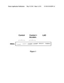 TREATMENT OF MCI AND ALZHEIMER S DISEASE diagram and image