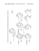 MACROCYCLIC COMPOUNDS AND METHODS OF TREATMENT diagram and image