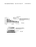 MACROCYCLIC COMPOUNDS AND METHODS OF TREATMENT diagram and image