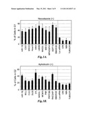 Method of Using Compositions Comprising MIR-192 and/or MIR-215 for the Treatment of Cancer diagram and image