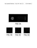 MEMBRANE PRECURSORS AND MEMBRANES FORMED THEREFROM diagram and image