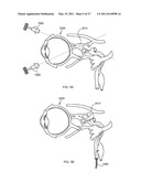 Targeted Inhibition of Physiologic and Pathologic Processes diagram and image