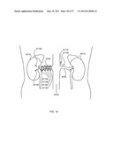 Targeted Inhibition of Physiologic and Pathologic Processes diagram and image