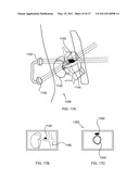 Targeted Inhibition of Physiologic and Pathologic Processes diagram and image