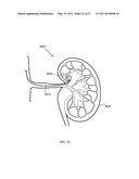 Targeted Inhibition of Physiologic and Pathologic Processes diagram and image