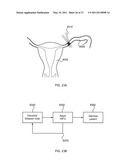 Targeted Inhibition of Physiologic and Pathologic Processes diagram and image