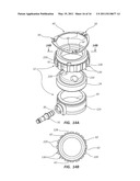 OVERMOLDED ACCESS PORT INCLUDING ANCHORING AND IDENTIFICATION FEATURES diagram and image