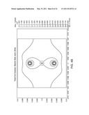 CONTROLLED IRREVERSIBLE ELECTROPORATION diagram and image