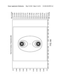 CONTROLLED IRREVERSIBLE ELECTROPORATION diagram and image