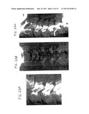 DEVICES FOR INTRODUCTION INTO A BODY VIA A SUBSTANTIALLY STRAIGHT CONDUIT TO FOR A PREDEFINED CURVED CONFIGURATION, AND METHODS EMPLOYING SUCH DEVICES diagram and image