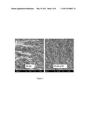 Biodegradable stent formed with polymer-bioceramic nanoparticle composite and method of making the same diagram and image