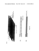 DEVICES AND METHODS OF CONTROLLING MANIPULATION OF VIRTUAL OBJECTS ON A MULTI-CONTACT TACTILE SCREEN diagram and image