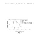 METHODS OF DIAGNOSING AND PROGNOSING LUNG CANCER diagram and image