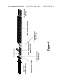 CONSTRUCT CAPABLE OF RELEASE IN CLOSED CIRCULAR FORM FROM A LARGER NUCLEOTIDE SEQUENCE PERMITTING SITE SPECIFIC EXPRESSION AND/OR DEVELOPMENTALLY REGULATED EXPRESSION OF SELECTED GENETIC SEQUENCES diagram and image