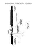 CONSTRUCT CAPABLE OF RELEASE IN CLOSED CIRCULAR FORM FROM A LARGER NUCLEOTIDE SEQUENCE PERMITTING SITE SPECIFIC EXPRESSION AND/OR DEVELOPMENTALLY REGULATED EXPRESSION OF SELECTED GENETIC SEQUENCES diagram and image