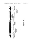 CONSTRUCT CAPABLE OF RELEASE IN CLOSED CIRCULAR FORM FROM A LARGER NUCLEOTIDE SEQUENCE PERMITTING SITE SPECIFIC EXPRESSION AND/OR DEVELOPMENTALLY REGULATED EXPRESSION OF SELECTED GENETIC SEQUENCES diagram and image