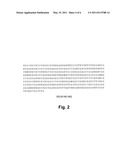 METHOD FOR GENERATING RESISTANCE AGAINST CITRUS DISEASES CAUSED BY INSECTS, FUNGI, OOMYCETES, BACTERIA OR NEMATODES diagram and image