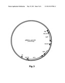 METHOD FOR GENERATING RESISTANCE AGAINST CITRUS DISEASES CAUSED BY INSECTS, FUNGI, OOMYCETES, BACTERIA OR NEMATODES diagram and image