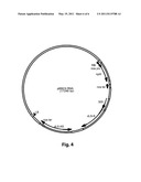 METHOD FOR GENERATING RESISTANCE AGAINST CITRUS DISEASES CAUSED BY INSECTS, FUNGI, OOMYCETES, BACTERIA OR NEMATODES diagram and image