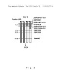 Gene Participating in Low Temperature Germinability in Rice and Utilization of the Same diagram and image