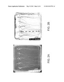 ISOLATED POLYPEPTIDES, POLYNUCLEOTIDES USEFUL FOR MODIFYING WATER USER EFFICIENCY, FERTILIZER USE EFFICIENCY, BIOTIC/ABIOTIC STRESS TOLERANCE, YIELD AND BIOMASS IN PLANTS diagram and image