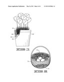 CONTAINER FOR DECORATIVE GRASS diagram and image