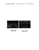 ULTRA-LOW REFLECTANCE BROADBAND OMNI-DIRECTIONAL ANTI-REFLECTION COATING diagram and image