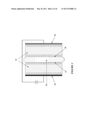 POROUS SILICON ELECTRO-ETCHING SYSTEM AND METHOD diagram and image