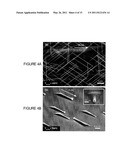 METHOD OF FABRICATING A PLANAR SEMICONDUCTOR NANOWIRE diagram and image