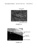 METHOD OF FABRICATING A PLANAR SEMICONDUCTOR NANOWIRE diagram and image