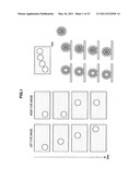 Image transmission method, image receiving method, image transmission device, image receiving device, and image transmission system diagram and image