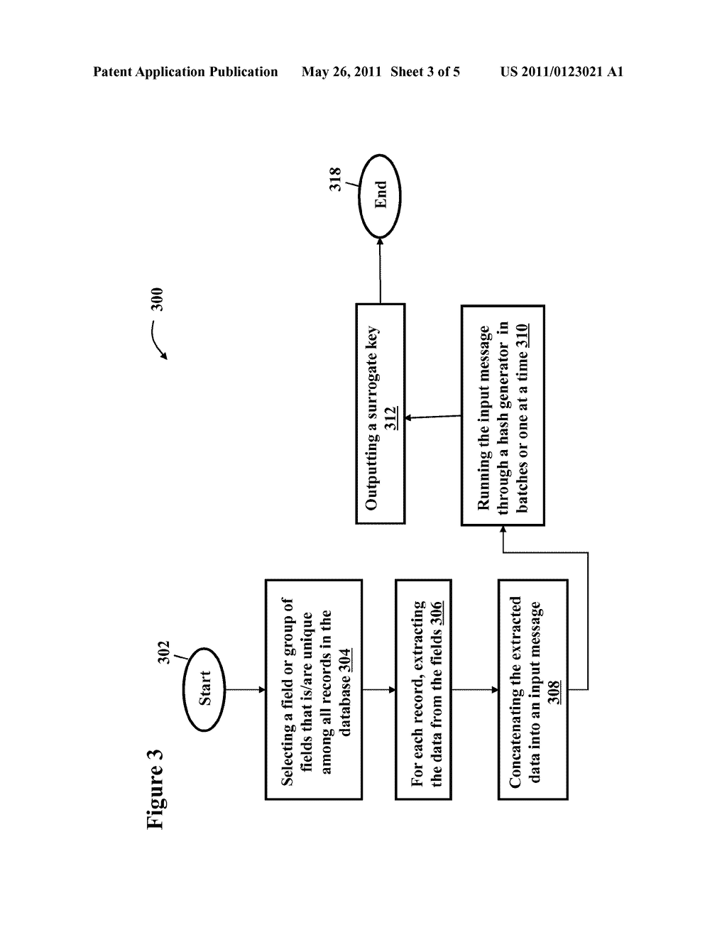 SURROGATE KEY GENERATION USING CRYPTOGRAPHIC HASHING - diagram, schematic, and image 04