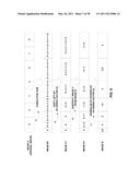 MARKER IDENTIFICATION AND PROCESSING IN X-RAY IMAGES diagram and image