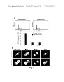 CELLULAR DIFFERENTIATION PROMOTION diagram and image