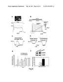 CELLULAR DIFFERENTIATION PROMOTION diagram and image