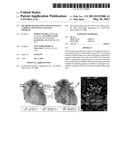 METHODS OF ISOLATING NON-SENESCENT CARDIAC STEM CELLS AND USES THEREOF diagram and image