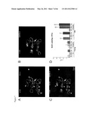 METHODS OF ISOLATING NON-SENESCENT CARDIAC STEM CELLS AND USES THEREOF diagram and image