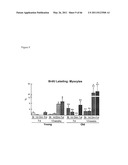 METHODS OF ISOLATING NON-SENESCENT CARDIAC STEM CELLS AND USES THEREOF diagram and image