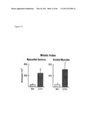 METHODS OF ISOLATING NON-SENESCENT CARDIAC STEM CELLS AND USES THEREOF diagram and image