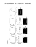 METHODS OF ISOLATING NON-SENESCENT CARDIAC STEM CELLS AND USES THEREOF diagram and image