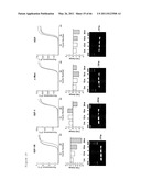 METHODS OF ISOLATING NON-SENESCENT CARDIAC STEM CELLS AND USES THEREOF diagram and image