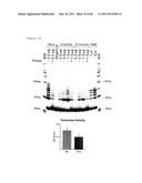 METHODS OF ISOLATING NON-SENESCENT CARDIAC STEM CELLS AND USES THEREOF diagram and image