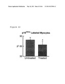 METHODS OF ISOLATING NON-SENESCENT CARDIAC STEM CELLS AND USES THEREOF diagram and image