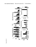 METHODS OF ISOLATING NON-SENESCENT CARDIAC STEM CELLS AND USES THEREOF diagram and image