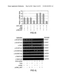 Method of Suppressing Gene Transcription Through Histone Lysine Methylation diagram and image