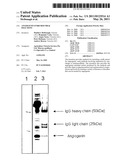 ANGIOGENIN-ENRICHED MILK FRACTIONS diagram and image