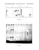 ANGIOGENIN-ENRICHED MILK FRACTIONS diagram and image