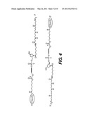 SITE-SPECIFIC DELIVERY OF NUCLEIC ACIDS BY COMBINING TARGETING LIGANDS WITH ENDOSOMOLYTIC COMPONENTS diagram and image